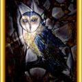 hibou