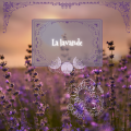 Copie de les runes wiccan video facebook 