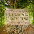 Les ressources 13 