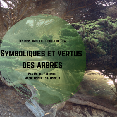 Symboliques et vertus des arbres